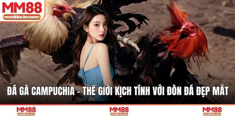 Đá Gà Campuchia