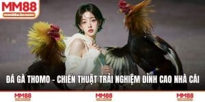 Đá Gà Thomo