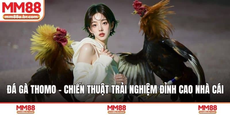 Đá Gà Thomo