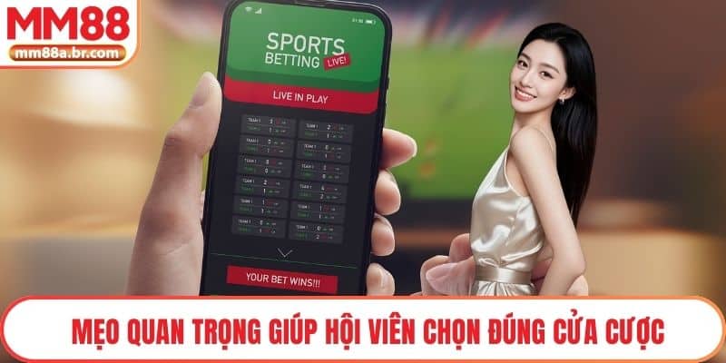 Mẹo quan trọng giúp hội viên chọn đúng cửa cược
