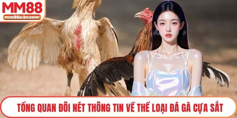 Tổng quan đôi nét thông tin về thể loại đá gà cựa sắt